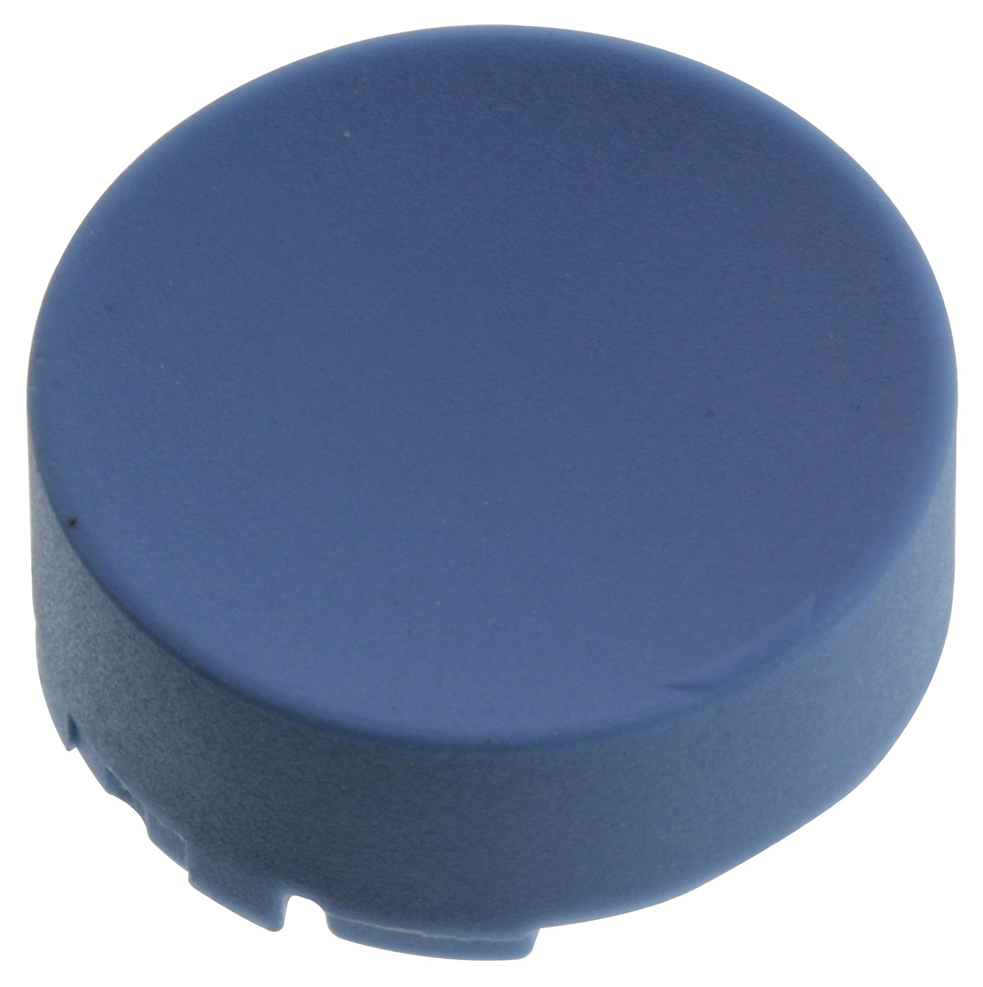 M22XDHB Eaton Moeller Switch Accessory, Blue, Button Plate