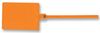 PANDUIT PLF1MA-C3