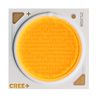 CREE LED CXA2520-0000-000N0HR240G