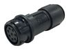 BULGIN LIMITED PXP4011/02S/4550