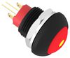 TE CONNECTIVITY - ALCOSWITCH PB6B2FM3M1CAL05