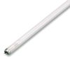 OSRAM L36835