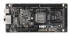 NXP FRDM-MCXE31B