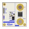 INFINEON BBTS500101LUA1TOBO1