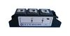 IXYS SEMICONDUCTOR MDD95-12N1B