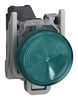 SCHNEIDER ELECTRIC XB4BVBM3GEX