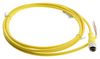 PEPPERL+FUCHS V12-G-YE2M-PVC