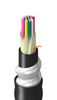 BELDEN TF-1D9-012-RI5N