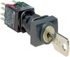 SCHNEIDER ELECTRIC XB6DGH5B