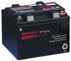 ENERSYS G12V42AH10EP