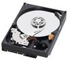 WD WD5000AZLX