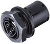 WIELAND ELECTRIC 96.041.4053.1
