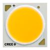 CREE LED CXA2520-0000-000N00Q240F