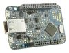 NXP FRDM-K64F