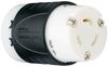 LEGRAND PASS & SEYMOUR L1420C