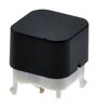 E-SWITCH PB300DTQ