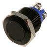 E-SWITCH PV2F64011