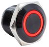 E-SWITCH PV6F24011-311