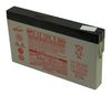 ENERSYS NP2-12
