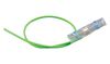 RAYCHEM - TE CONNECTIVITY CWT-6-W122-5