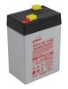 ENERSYS NP4-6