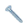 TR FASTENINGS N40.250 KRSTABZ100-