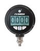 OMEGA DPG509-P100G08IVDCA-D