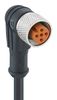 LUTRONIC 1205 08 004 2M