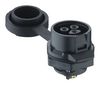 LUTRONIC 2420 04 T18CB100