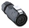 LUTRONIC 2440 02 T09CB T