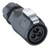 LUTRONIC 2450 08 T09CB T