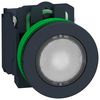 SCHNEIDER ELECTRIC XB4FW34G5