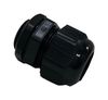 SWITCHCRAFT/CONXALL CGM20N44