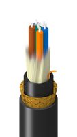 BELDEN TM-1D9-006-LBAN