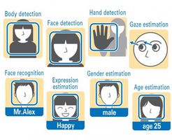 B5T-007001-010 - Sensor, Image Recognition, Human Vision Components, 50 Degree, 1600 x 1200 Pixels, 10 Functions