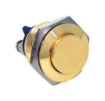 E-SWITCH PV2F240NNM01