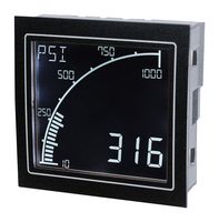 TRUMETER APM-RATE-ANO.