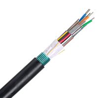 PANDUIT FSWN912 Cable de Fibra Óptica, Monomodo OS2, 9µm/125µm, 12 Fibras, 11.8 mm, 1 ft, 304.8 mm
