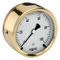 NOSHOK 25-310-800-PSI