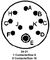 AMPHENOL INDUSTRIAL 97-24-21S