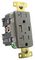 HUBBELL WIRING DEVICES USB20AC5GYWR