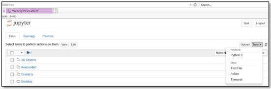 Jupyter Notebook environment