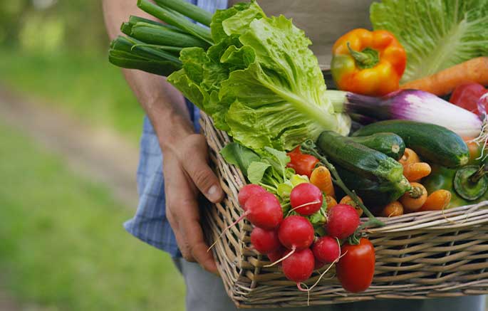 Health Span and Lifespan